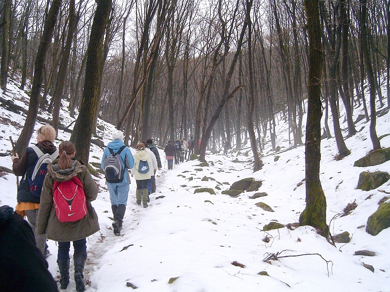 20100220 041.jpg